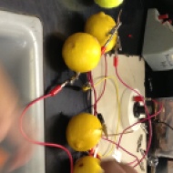 An experiment that investigated how citrus fruits can create electricity